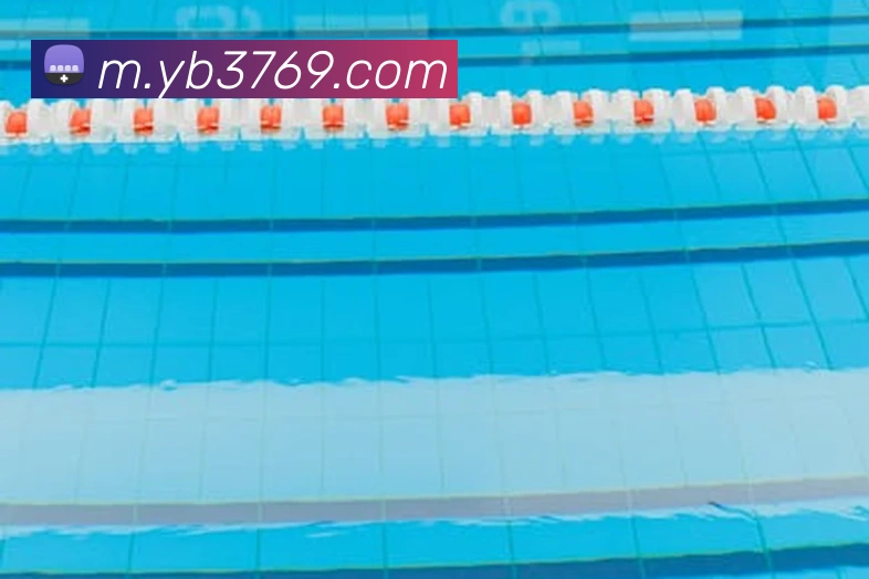 yabo体育平台官网入口发展历程